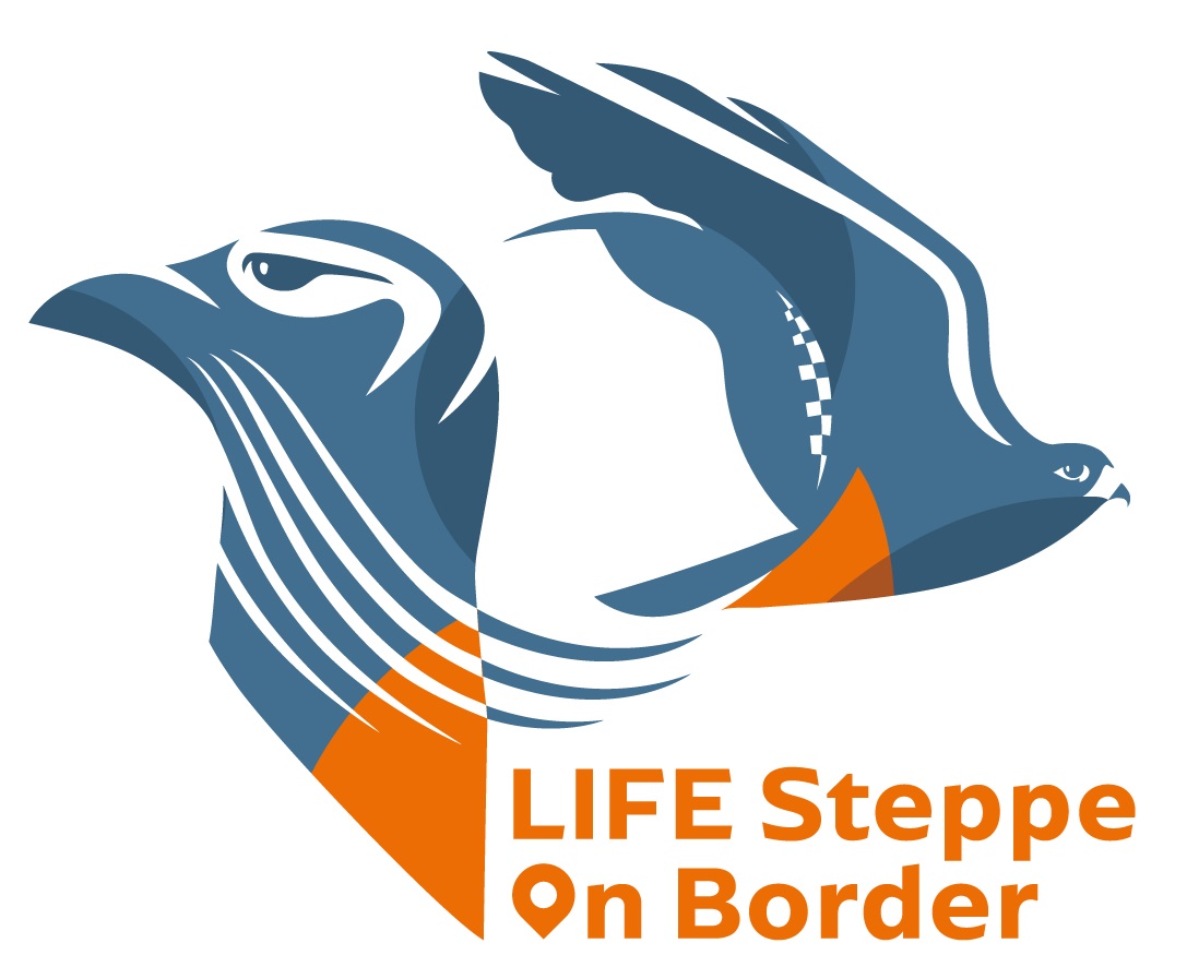 logo steppelife web